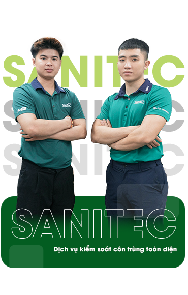 Dịch vụ xử lý côn trùng tại  Sanitec có gì nổi bật?